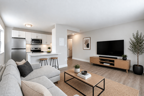 Hamilton apartment for rent - Living Room