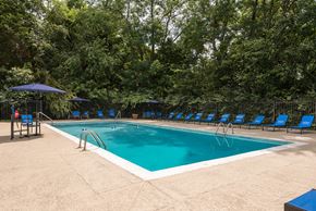 Louisville apartment for rent - A large outdoor swimming pool surrounded by trees and lounge chairs.
