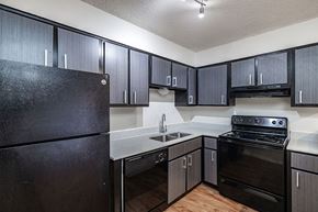 Tampa apartment for rent - A kitchen with black cabinets and appliances.