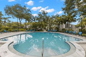 Tampa apartment for rent - a swimming pool with trees and a building in the background