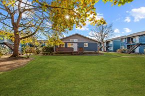 Portland apartment for rent - Tree with yellow leaves at Garden Villa Apartments, Portland, Oregon
