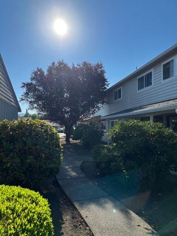 Newberg apartment for rent - A tree stands in a residential area.