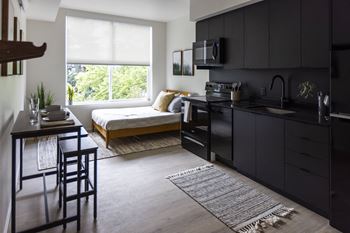 Kitchen and living