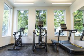 Portland apartment for rent - three exercise machines in a gym with three windows at Shift, Portland Oregon