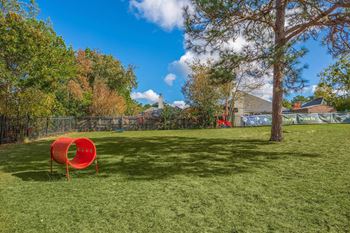 Bark park
