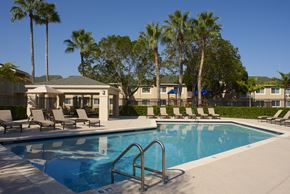 Homestead apartment for rent - the swimming pool at the resort at longboat key club