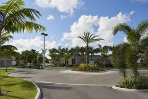 Homestead apartment for rent - a roundabout with palm trees in front of a building