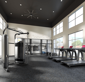 Bradenton apartment for rent - a gym with cardio equipment and windows in a building