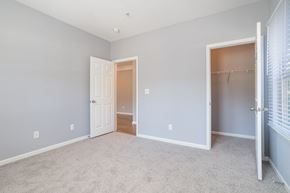 Columbia apartment for rent - a bedroom with blue walls and a carpeted floor