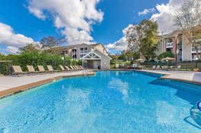 Columbia apartment for rent - a swimming pool with lounge chairs and umbrellas in front of a house