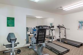 Fredericksburg apartment for rent - A gym room with a variety of equipment including a treadmill, a stationary bike, a rowing machine, and a weight bench.