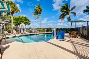 Palm Beach apartment for rent - A pool surrounded by palm trees and a blue sky.