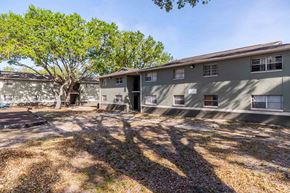 Lakeland apartment for rent - A tree in front of apartment buildings.