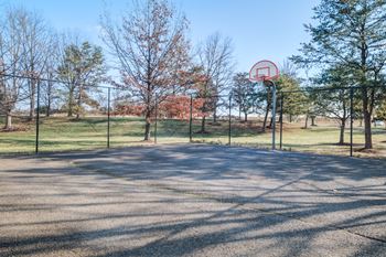 Basketball court
