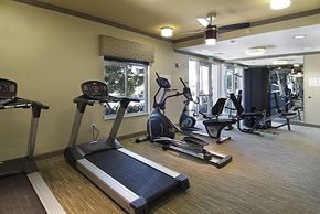 Homestead apartment for rent - a gym with treadmills and other exercise equipment in a building