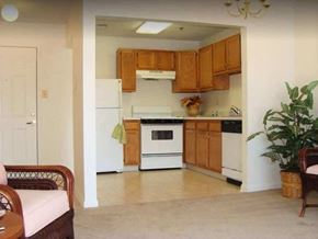 Fredericksburg apartment for rent - A kitchen with wooden cabinets and a white refrigerator.
