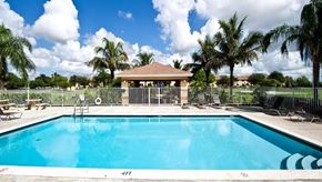 Florida City apartment for rent - A swimming pool surrounded by palm trees and a fence.