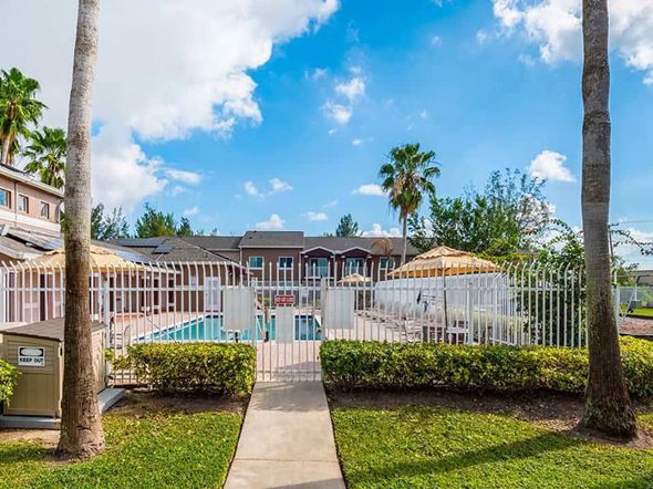 Miami Gardens apartment for rent - A sunny day at the poolside with palm trees and a clear blue sky.