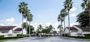 Homestead apartment for rent - A street view of a residential area with houses and palm trees.