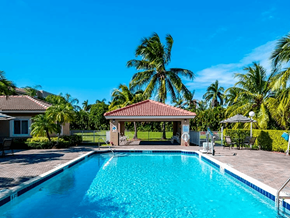 Miami apartment for rent - A swimming pool in a backyard with a gazebo and palm trees.