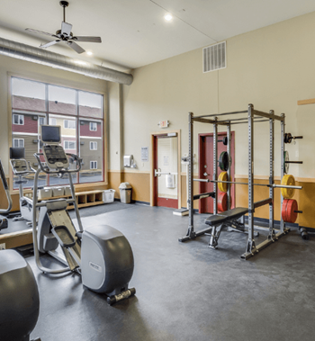 A gym with weights and other equipment and a window