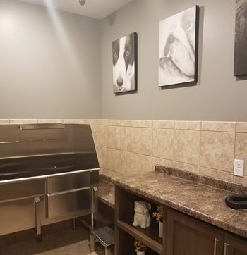 Pet spa