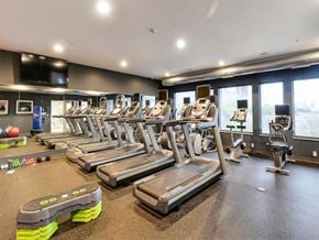 Duluth apartment for rent - Cardio Machines at Bluestone Flats, Duluth, 55803
