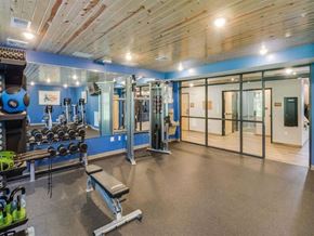 Forest Lake apartment for rent - a gym with a lot of weights and equipment in it at Arbor Ridge, Forest Lake, MN
