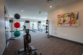 Valley apartment for rent - A gym with exercise balls and weightlifting equipment.