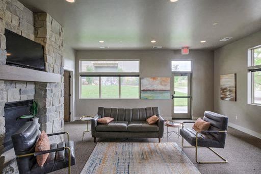 Gretna apartment for rent - A living room with a grey couch, a fireplace, and a rug.