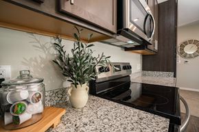 Lincoln apartment for rent - A kitchen with a plant on the counter.