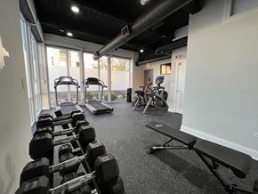 Chicago apartment for rent - a gym with free weights and machines 