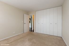 Chicago apartment for rent - Large bedroom closet