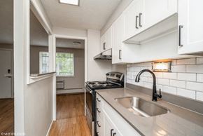 Denver apartment for rent - Tree-lined sidewalk and maintained facade at 1303 Columbine St in Denver, CO