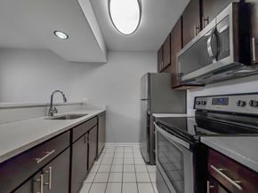 Chicago apartment for rent - Updated kitchen
