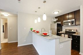 Chicago apartment for rent - Kitchen with stainless steel appliances and a breakfast bar