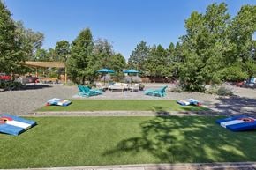 Centennial apartment for rent - A sunny day at a park with a playground and picnic tables.