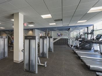 Cardio machines in gym