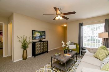 Ceiling fan