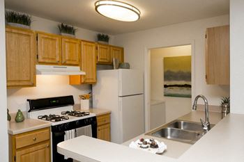 Gas stove and water heater