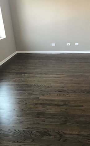 Chicago apartment for rent - Nice wood flooring