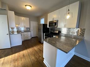Chicago apartment for rent - Stunning kitchen with stainless steel appliances