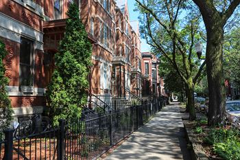 Tree-lined street