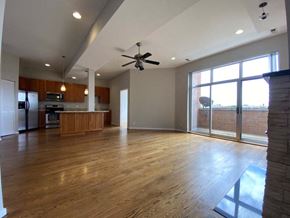 Chicago apartment for rent - Breathtaking living space with hardwood floors and floor to ceiling windows