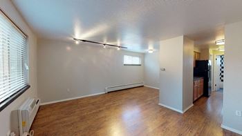 Designer lighting packages