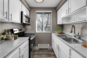 Centennial apartment for rent - Large one bedroom kitchen