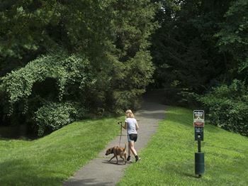 Pet waste stations