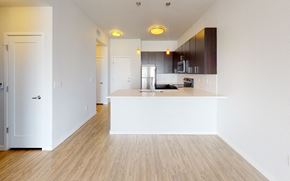 Denver apartment for rent - Beautiful kitchen with stainless steel appliances and dishwasher at Wash Park Station in Denver, CO