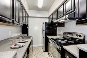 Silver Spring townhouse for rent - A kitchen with black cabinets and a black refrigerator.