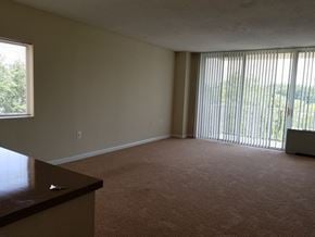 Bethesda apartment for rent - A room with a carpeted floor, a window with blinds, and a wooden cabinet.